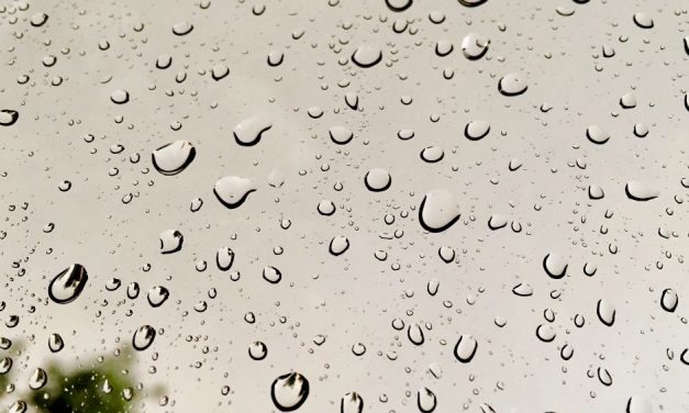 Chuva em Louveira: Prefeitura alerta sobre leptospirose neste período