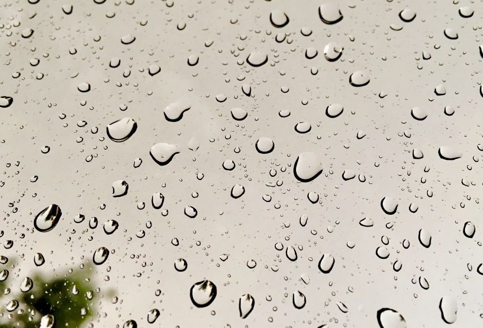 Chuva em Louveira: Prefeitura alerta sobre leptospirose neste período
