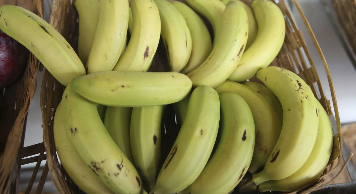 Preços da melancia, banana e maçã têm forte alta em dezembro, aponta Conab