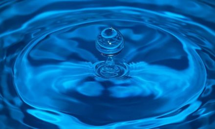 População deve economizar água em Louveira e nos municípios da Bacia do PCJ, recomenda Consórcio