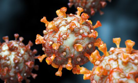 O que são as novas cepas do coronavírus?