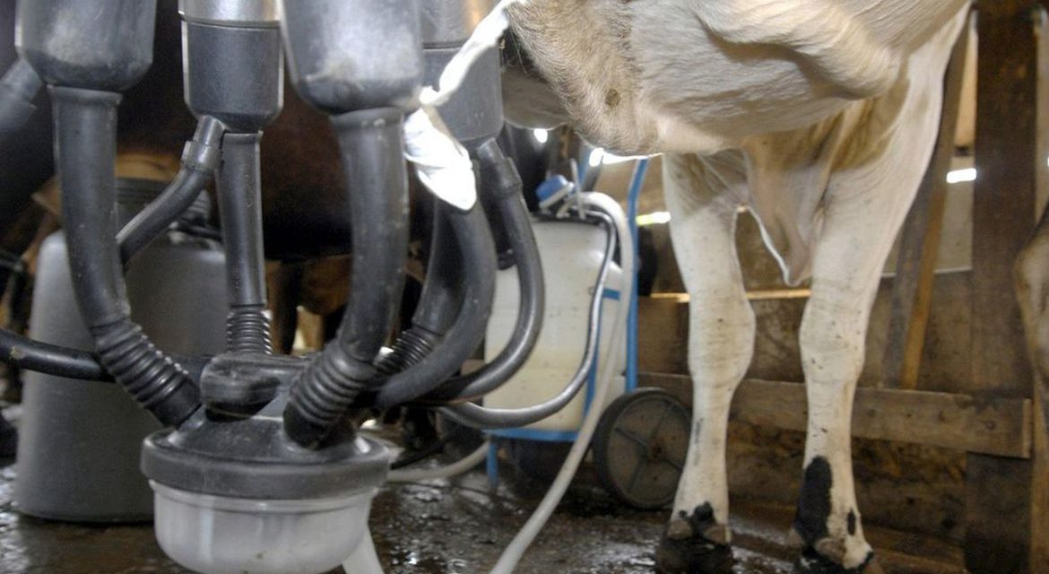 Preço do leite sobe 2,3% em abril