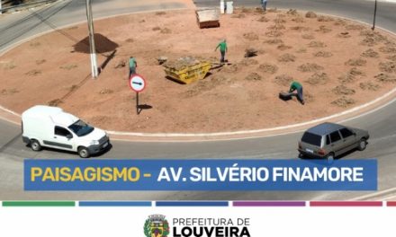 Prefeitura implanta projeto de paisagismo em duas rotatórias da Avenida Silvério Finamore