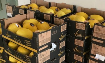Louveira entrega kits de hortifrutis para 6 mil alunos da Rede Municipal de Ensino neste sábado (18)