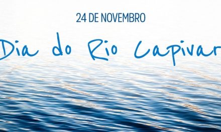 Dia do Rio Capivari será celebrado em Louveira com plantio de 420 mudas de árvores