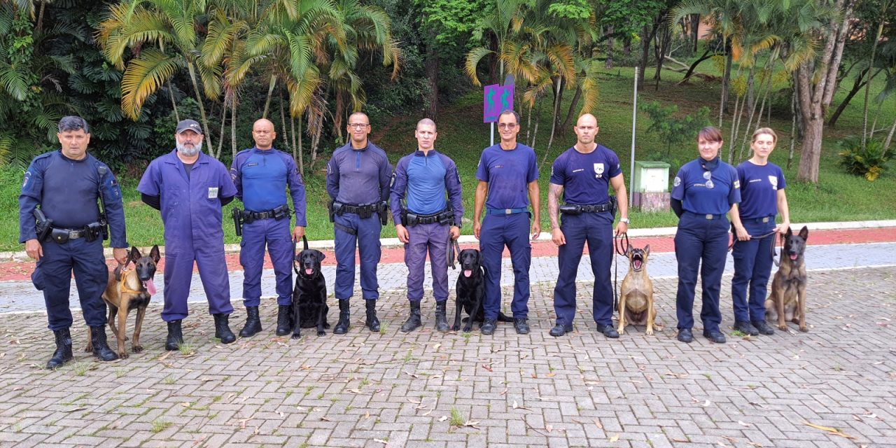 Guarda Municipal realiza treinamento com cães de guarda em Louveira