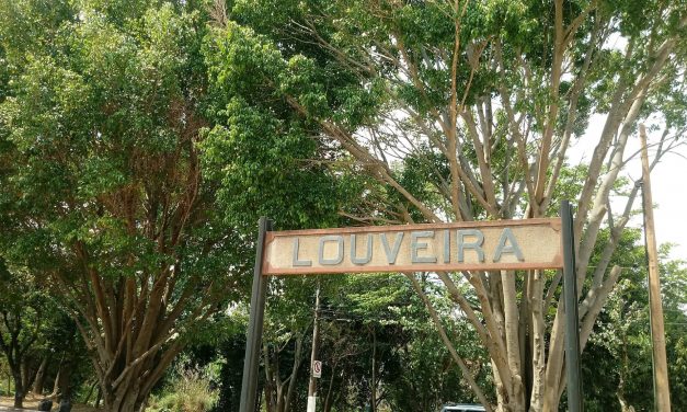 Prefeitura amplia até 31 de julho prazo para morador escolher árvore para plantar em Louveira