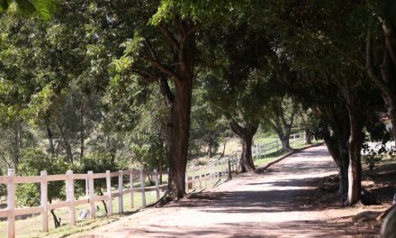 Fazenda Santo Antonio abre para visitação e caminhada a partir deste sábado