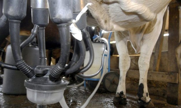 Preço do leite sobe 2,3% em abril