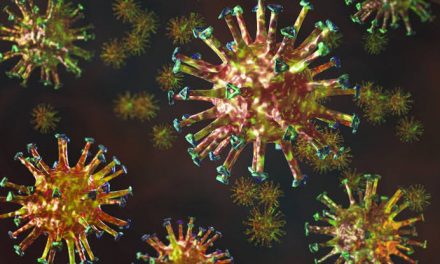 Monitoramento de vírus, fungos e bactérias poderá evitar novas pandemias