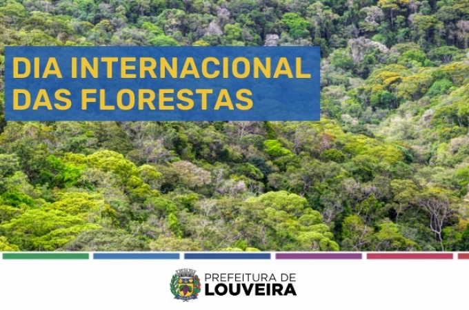 Dia Internacional das Florestas é celebrado em 21 de março e chama atenção para a importância da preservação
