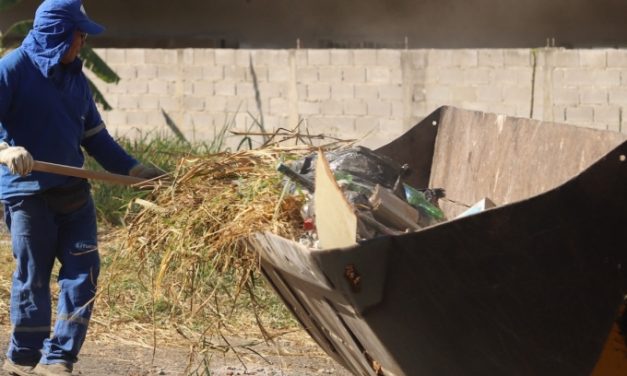 145 toneladas de resíduos foram recolhidas em 11 bairros de Louveira