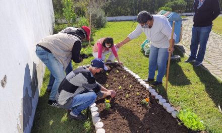 Moradores da região do Monterrey recebem orientação sobre criação de horta em casa e alimentação saudável
