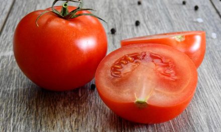 Curso gratuito em Louveira: ‘Processamento Caseiro de Tomate’ está com inscrições abertas
